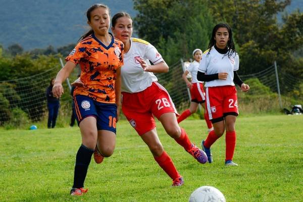 Feminino